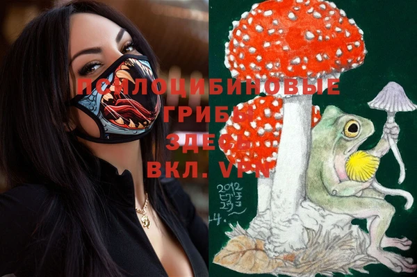 героин Абаза