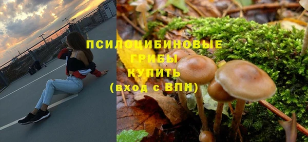 индика Абдулино