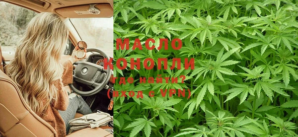индика Абдулино